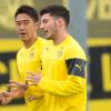 Hinter ihrem Einsatz steht ein Fragezeichen: Shinji Kagawa (l) und Milos Jojic.