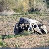 Die Reste des Autos, in dem Caruana Galizia starb, nach der Explosion von einem halben Kilo Sprengstoff.