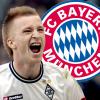 Der Gladbacher Marco Reus gilt als Kandidat für die neue Saison beim FC Bayern.