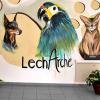 Unter dem Namen Lech-Arche startete das Derchinger Tierheim neu. Geführt wird es vom Tierschutzverein Augsburg und Umgebung, im Bild Vorsitzender Heinz Paula. 