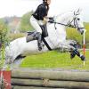 Reiter und Pferd sind bei den schwäbischen Meisterschaften im Vielseitigkeitsreiten in Mertingen gefordert.  