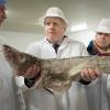 Boris Johnson (Zweiter von links) bei einem Wahlkampf-Besuch auf dem Grimsby Fish Market. Fischer werfen dem britischen Premier vor, es gebe "eine beträchtliche Anzahl" von ihnen, denen es deutlich schlechter gehe als vor dem Deal.
