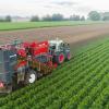 Ein Landwirt erntet Bio-Möhren auf einem Feld im Landkreis Hildesheim. Bund und Länder erzielten eine Einigung bei der Agrarreform.