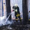 Feuerwehrleute löschen einen Waldbrand. 