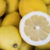 Zitronen verpassen dem Essen nicht nur eine besondere Würze, sondern auch einen Schuss Leichtigkeit. Aber wie viele Vitamine stecken drin?