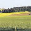 Wer die Nordic-Walking-Strecke rund um Tagmersheim abläuft, ist von viel Grün umgeben. 