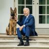 So vertraut sitzen US-Präsident Joe Biden und sein Hund "Commander" nun wohl erst einmal nicht mehr vor dem Weißen Haus.