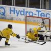 Pfaffenhofens Goalie Hingel zeigte eine starke Partie, aber auch beim 5:0 war er chancenlos.