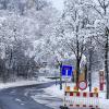 Schneebruch: Die Augsburger Straße in Thannhausen ist bis auf Weiteres gesperrt. Der Schnee auf den Bäumen im Landkreis Günzburg sieht zwar schön aus, birgt aber Gefahr.