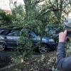 Immer häufiger fotografieren Schaulustige bei einem Unfall und behindern im schlimmsten Fall die Rettungskräfte. Der Polizei ist dieses Verhalten auch im Kreis Donau-Ries bekannt. 