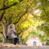 Wann ist Herbstbeginn 2018? Ein Blick aus dem Fenster scheint zu sagen: genau jetzt. Was ist eigentlich der Unterschied zwischen kalendarischem und meteorlogogischem Herbstbeginn?