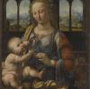 Hinter Leonardo da Vincis Gemälde „Madonna mit der Nelke“ verbirgt sich eine mysteriöse Geschichte. Sie hat nicht zuletzt mit Günzburg zu tun. 	