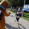 Bei bestem Wetter starteten am Sonntag viele kleine und große Läufer beim Meringer Marktlauf des TVM.