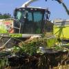 Die Maishäcksler, wie dieser mit gleich zwölf Reihen, fahren in Kürze auf die Felder im Wittelsbacher Land. Die Landwirte erwarten in diesem Jahr eine sehr ertragreiche Ernte. 