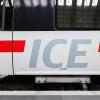 Mehrere ICE-Züge auf der Strecke München-Berlin haben Verspätungen, weil Kühe aufs Gleis gelaufen sind.