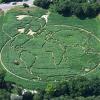 Aus gegebenem Anlass besteht das Uttinger Feld-Labyrinth aus der Weltkarte mit Friedenstaube. 