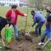 Unter Leitung von Gartenpflegerin Isolde Koukal wurden an der Ascher Schule Obstbäume gepflanzt. 	