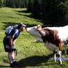 So aufdringlich sind die Mädels auf der Alm: Richard Kohl aus Halbertshofen bei einem vorsichtigen Annäherungsversuch.
 
 
 
