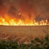 Flammen wüten auf einem Feld in Spanien. Die Hitze und gleichzeitige Dürre trifft das Urlaubsland mit voller Wucht.