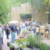 Idyllisch im Wald gelegen ist der Burgmarkt in Bocksberg jedes Jahr ein Anziehungspunkt für Gartenfreunde und Liebhaber kreativer Idee.  