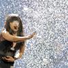 ESC 2012: Sängerin Loreen aus Schweden hat mit ihrem Titel  "Euphoria" den ESC 2012 gewonnen. 