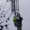 Arbeiter haben die Reste der Nester jetzt entfernt und die Technik auf dem Mast modernisiert. 	