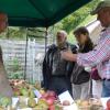 Die Vielfalt der Apfelsorten gab es auf dem Apfel- und Kartoffelmarkt in Bächingen zu bestaunen. Hier halfen Experten auch bei der Bestimmung von mitgebrachten Exemplaren.  
