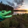 Am Mittleren Klausensee bei Schwandorf wird nach dem Krokodil Klausi gesucht.