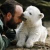 Er ist der berühmteste Eisbär Deutschlands: Knut kommt 2006 im Berliner Zoo auf die Welt. Vier Monate später wiegt er schon 12,5 Kilo.