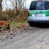 Nach dem Fund einer Leiche am Lutzenberger See nahe Günzburg suchte die Polizei mit einem größeren Aufgebot und mit Suchhunden nach möglichen Spuren und Ursachen.