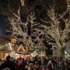 Lichterzauber in den Bäumen sorgt für eine besondere Atmosphäre beim Adventsmarkt in der Herzogstadt.