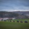 Schon früh machten sich Landwirte aus dem Landkreis auf den Weg nach Nördlingen zum Protest. Der Verkehr staute sich auf der B25 und in der Innenstadt. Über 1000 Traktoren waren auf der Kaiserwiese.