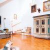 Designerin Lola Paltinger liebt Foxterrier, hier im Bild Heidi in ihrem Zuhause.