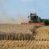 Dem Bauernverband zufolge zeichnen sich schon jetzt in Teilen des Landes große Ernteausfälle ab, weil etwa Getreide und Gras nicht ausreichend wachsen.