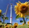 Hinter einem gelb blühenden Sonnenblumenfeld wird eine neue Windenergieanlage aufgebaut. 