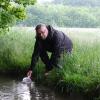 Biologe Norbert Pantel zeigt am Zigeunerbach, wie man kleine Lebewesen mit einem Sieb aus dem Wasser fischt. Wenn sich der Schlamm im Wasser abgesetzt hat, kann man Köcherfliegenlarven sehen. 	 	