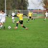 Der TSV Mindelheim (gelb-schwarze Trikots) erkämpfte sich im Derby gegen den TSV Kammlach einen Punkt.