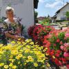 Seit 1966 zieht Marie-Luise Hilebrand ihre
Blumenpracht in Dirlewang selbst. Ihre Geranien, Margeriten und Enzianbäumchen blühen den ganzen Sommer durch. 
