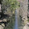 Hier gibt es wenig Verbindung zwischen Wasser und Wald. Denn dieser Bach ist stark kanalisiert. In einem Modellversuch sollen drei Bäche im Stadtwald ökologischer gestaltet werden.