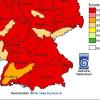 Pollenflug pur: Der Frühling ist zwar schön, wer unter Allergie leidet, hat allerdings Probleme. Heuschnupfen betrifft jetzt vor allem Menschen, die unter Birke leiden.