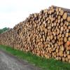 Holz aus den städtischen Forsten in Augsburg  musste im vergangenen Jahr noch teilweise eingelagert werden. Jetzt ist Holz stark nachgefragt.