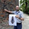 Naturforscher Klaus Kuhn hat den Mau-erahlenläufer am Lueginsland entdeckt. 