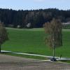 Auf dieser landwirtschaftlichen Fläche am östlichen Ortsende von Lützelburg will ein Investor eine Photovoltaikanlage errichten.