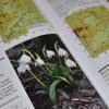 Auf über 800 Seiten sind im Buch „Flora von Nordschwaben“ über 1900 Pflanzenarten und -unterarten beschrieben, die in der Region vorkommen. 