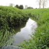 Der Augraben in Richtung Ehingen westlich der Kleingartenanlage Oettingen: Hier könnte ein Damm oder eine andere Art von Regenrückhalt entstehen. Die Stadt rüstet sich somit im Schutz gegen das Hochwasser und will vor allem für die Steinerbachsiedlung eine bessere Ausgangslage schaffen. 