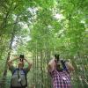 Die Förster Alexandra Wauer (links) und Franz Etschmann inspizieren in einem Wald bei Wildpoldsried Baumkronen. Wauer leitet die Inventur für die jährliche Waldzustandserhebung in Bayern. 	