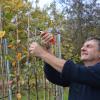 Manfred Herian war rund 20 Jahre der Kreisfachberater für Gartenkultur und Landespflege im Landkreis Dillingen. Nun geht der 62-Jährige in den Ruhestand.  	
