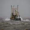 Fischfang in der Nordsee: Zwischen der EU und Großbritannien stehen die Zeichen politisch auf Sturm.