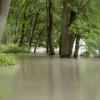 Nach lang anhaltenden Regenfällen führt die Donau Hochwasser. In Günzburg hat sie nur an wenigen Stellen das Bett verlassen und Uferbereiche überflutet. Der Höchststand wurde in der Nacht auf 3. Juni 2013 erreicht. Viele Forst- und Radwege in Flussnähe sind gesperrt, weil sie überflutet und nicht mehr passierbar sind. An der Donaustaustufe Günzburg wurde am Sonntagabend, 2. Juni, und Montagvormittag je eine Wasserleiche angetrieben und geborgen. Die Kriminalpolizei ermittelt, um wen es sich handeln könnte.