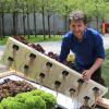 Salat wächst hier in einem Wasserbeet: Am neuen „Urban Gardening Demonstrationsgarten“ an der Hochschule Augsburg hat Florian Demling mitgearbeitet.  